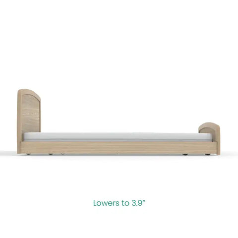 Homecare Beds - Empresa Adjustable Hospital Bed