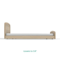 Homecare Beds - Empresa Adjustable Hospital Bed