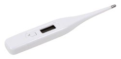 Carex® Apex® Digital Thermometer - Adroit Medical Equipment