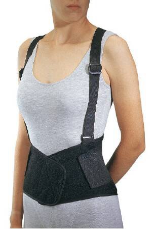 Procare® Industrial Back Support, Large