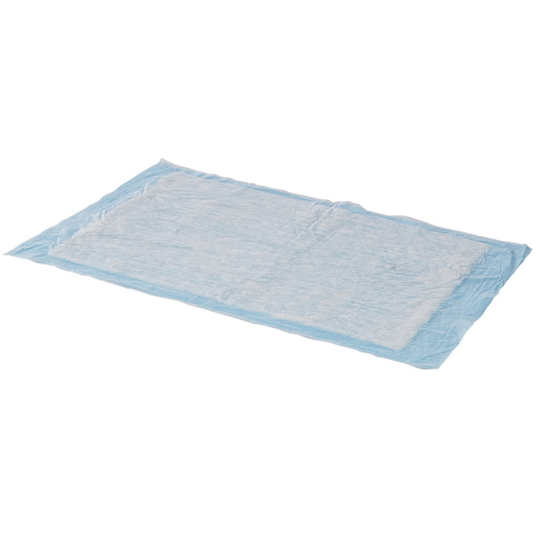 Simplicity™ Basic Moderate Absorbency Underpad, 23 x 24 Inch