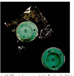 Hibiclens® Replacement Pump Assembly